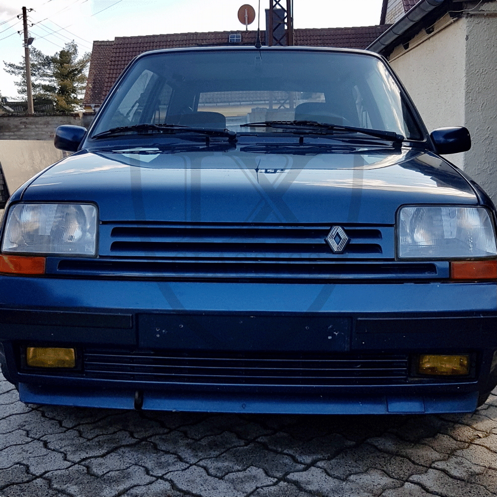 Renault-GTE-(1)-wz